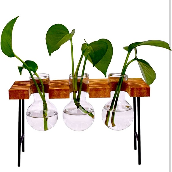 Other - Nwt Plant Terrarium Vase, Clear Bulb Vase with Wooden Stand
